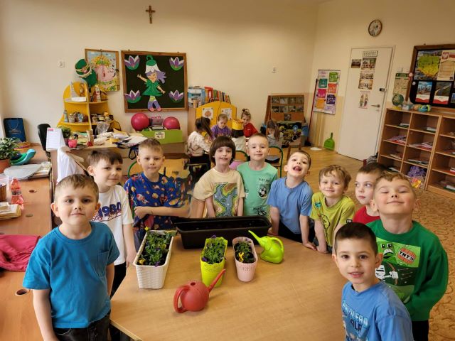 chlopcy sadza kwiatki